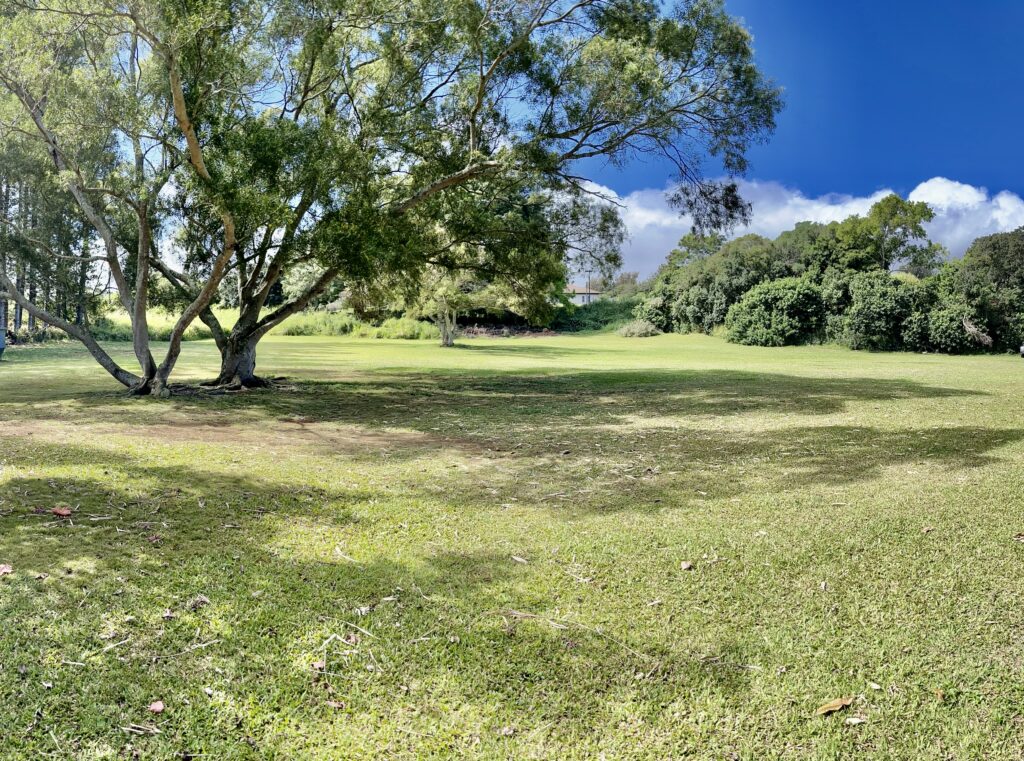 Field_Pic_1